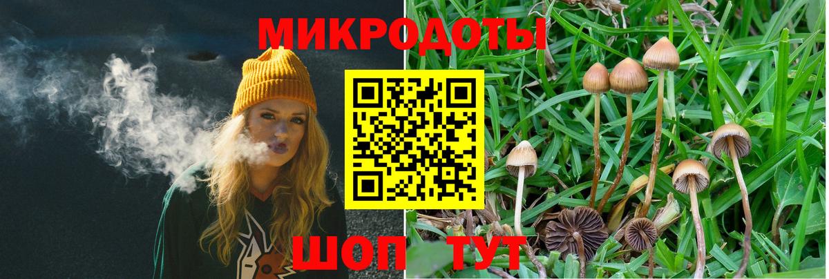 Псилоцибиновые грибы прущие грибы Краснокамск