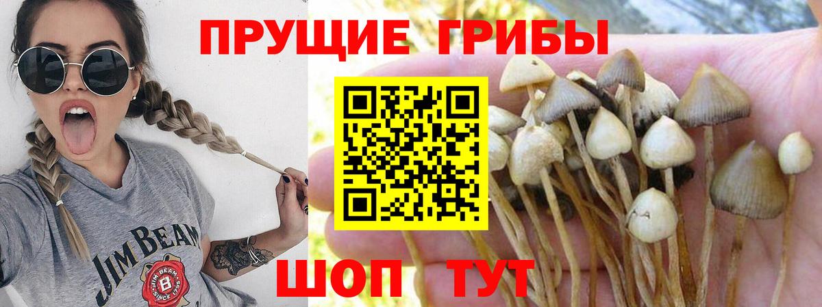 Галлюциногенные грибы прущие грибы  наркота  Вход с VPN  Краснокамск  Псилоцибиновые грибы ЛСД 